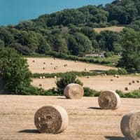 Hay Bales