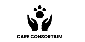 Sp 6